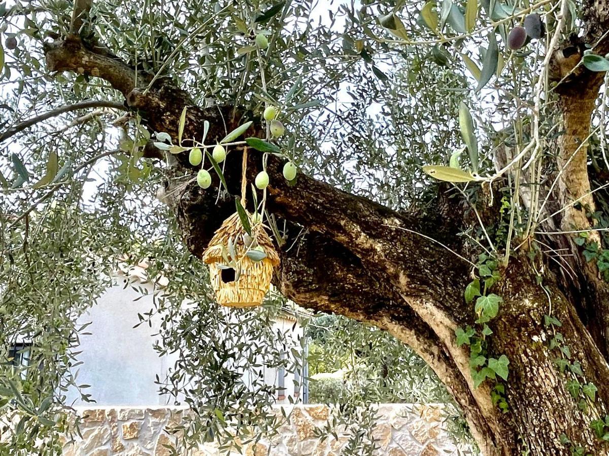 Villa La Carpenee Roquefort-les-Pins Εξωτερικό φωτογραφία